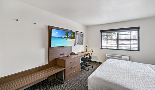 Deluxe Studio Suite