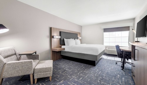Standard Room, 1 King Bed, Non Smoking