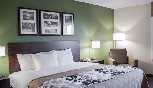 Suite, 1 King Bed with Sofa bed, Accessible, Non Smoking