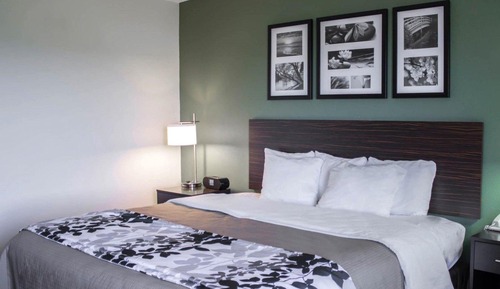 Room, 1 King Bed, Accessible, Non Smoking