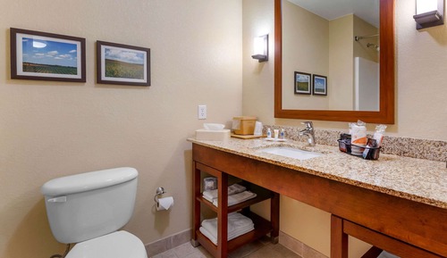 Business Suite, 1 King Bed with Sofa bed, Accessible, Non Smoking