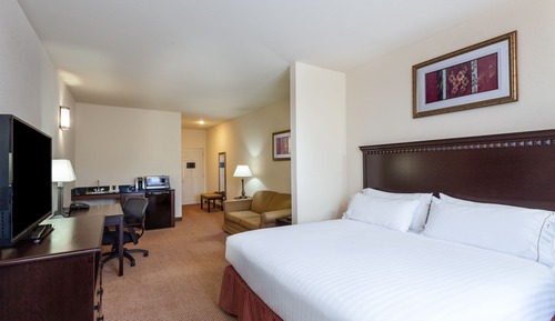 Suite, Accessible (Transfer Shower)