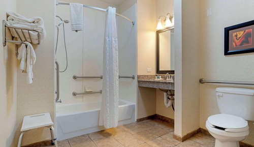 Suite, 1 King Bed with Sofa bed, Accessible, Non Smoking