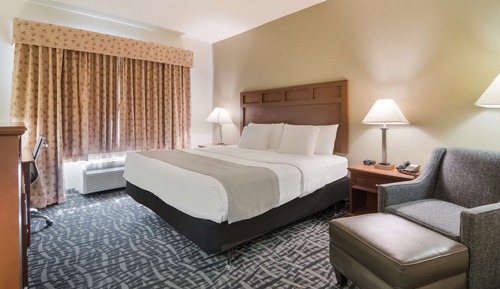 Standard Room, 1 King Bed, Non Smoking, Refrigerator & Microwave