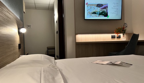 Standard Double Room Single Use