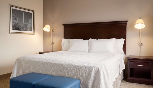 Studio, 1 King Bed, Accessible, Non Smoking (Mobility & Hearing, Roll-in Shower)