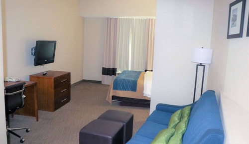 Suite, 1 King Bed with Sofa bed, Non Smoking