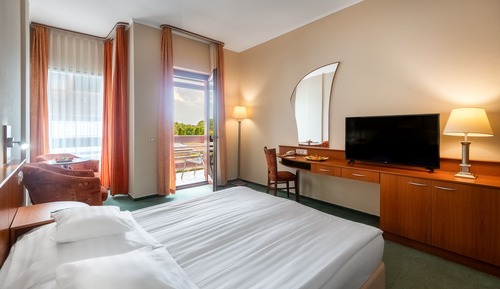 Standard Double Room, Balcony