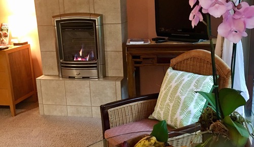 Standard Room, 1 King Bed, Non Smoking, Fireplace (Haiku Garden)