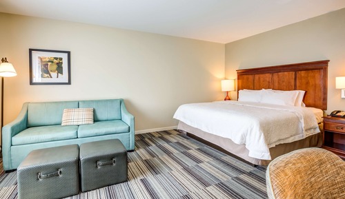 Room, 1 King Bed with Sofa bed (Study, Shower Only)