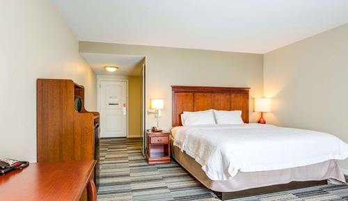 Room, 1 King Bed