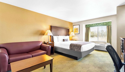 Standard Room, 1 King Bed, Non Smoking, Refrigerator & Microwave (with Sofabed)