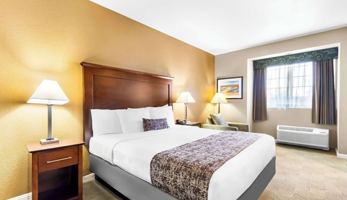 Standard Room, 1 King Bed, Accessible, Refrigerator & Microwave (with Sofabed)