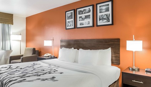 Room, 1 King Bed, Non Smoking