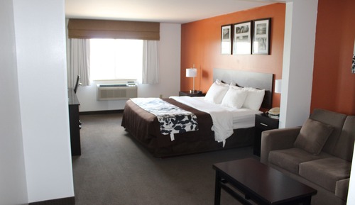 Suite, 1 King Bed with Sofa bed, Non Smoking (No Pets)