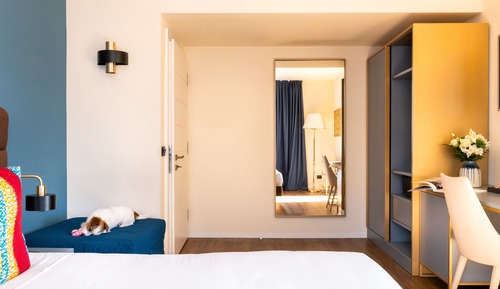 Deluxe Double or Twin Room