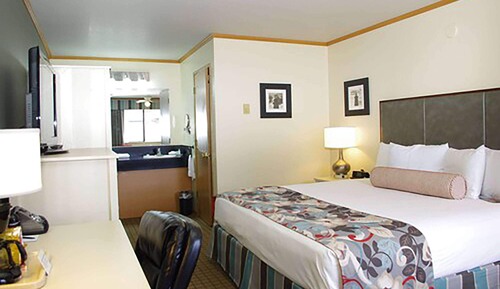 Room, 1 King Bed, Non Smoking