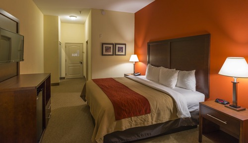 Standard Room, 1 King Bed, Non Smoking