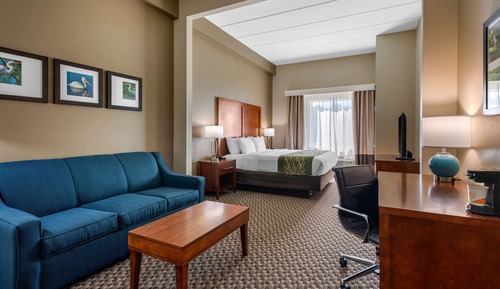 Suite, 1 King Bed with Sofa bed, Accessible, Non Smoking