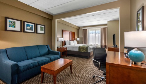 Room, 1 King Bed, Accessible, Non Smoking