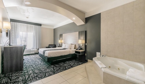 Deluxe Suite, 1 King Bed, Accessible, Non Smoking (Mobility,Roll-In Shower)