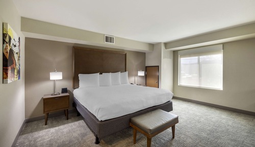 Suite, 1 King Bed, Non Smoking, Refrigerator & Microwave (with Single Sofabed)