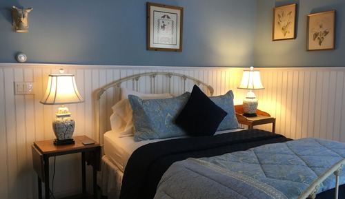 Delphinium Room