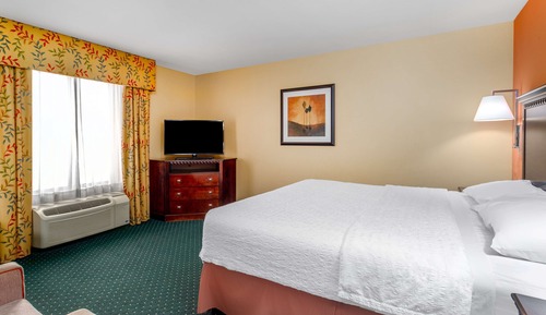 Room, 1 King Bed, Accessible (Mobility & Hearing, Roll-in Shower)