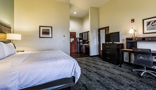 Studio Suite, 1 King Bed, Accessible, Kitchen (Comm, Accessible Tub)