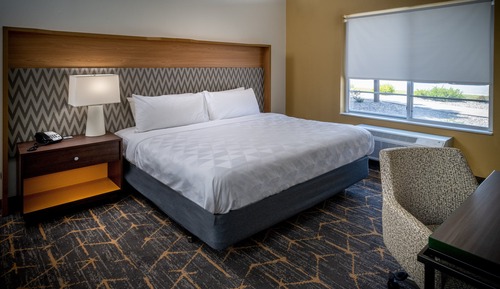 Room, 1 King Bed, Mobility Accessible (Communications, Roll-In Shower)