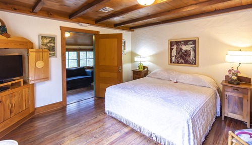 Deluxe Suite (Tropical Bird)