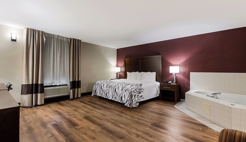 Superior Room, 1 King Bed, Non Smoking, Jetted Tub