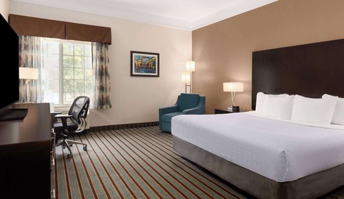 Room, 1 King Bed, Accessible, Non Smoking (Mobility/Roll-In Shower)