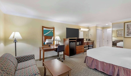 Standard Room, 1 King Bed, Non Smoking, Refrigerator & Microwave