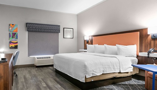 Room, 1 King Bed, Accessible, Non Smoking