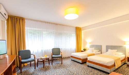 Superior Double or Twin Room