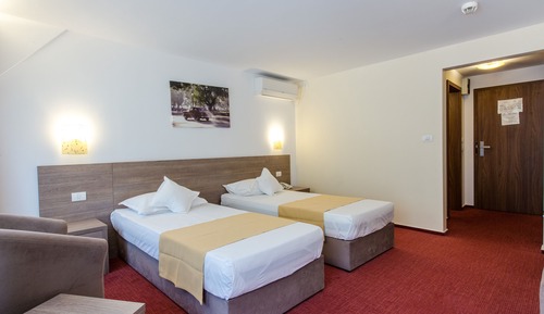 Business Twin Room, Balcony