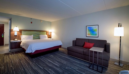 Standard Room, 1 King Bed with Sofa bed