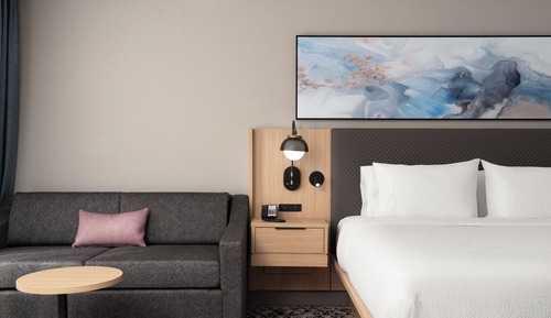 Room, 1 King Bed with Sofa bed