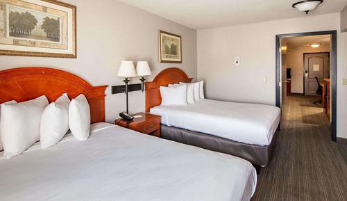 Suite, 1 Bedroom, Non Smoking