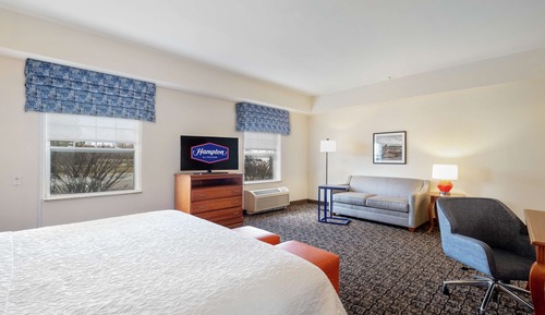 Room, 1 King Bed with Sofa bed, Accessible, Non Smoking (mob/hearing acc w/ roll-in shower)