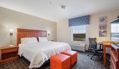Room, 1 King Bed, Accessible, Non Smoking (mob/hearing acc w/ roll-in shower)