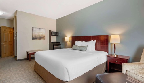 Standard Room, 1 King Bed, Accessible, Refrigerator & Microwave