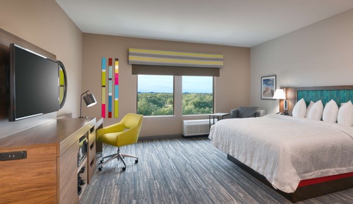 Room, 1 King Bed, Accessible, Bathtub