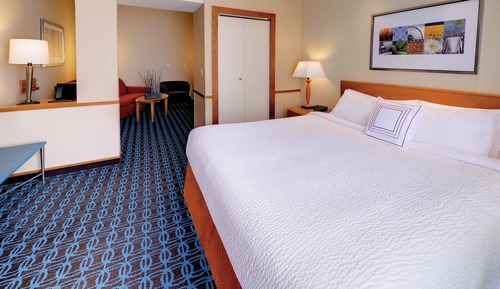 Room, 1 King Bed with Sofa bed