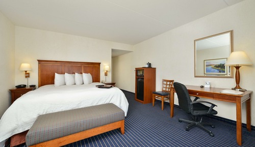 Room, 1 King Bed, Non Smoking