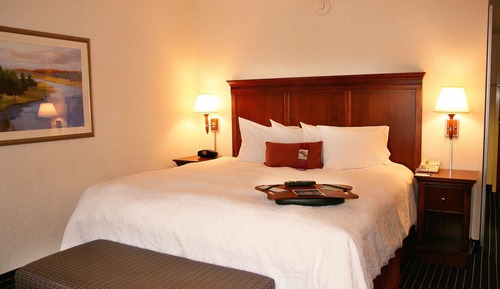 Room, 1 King Bed, Accessible, Bathtub