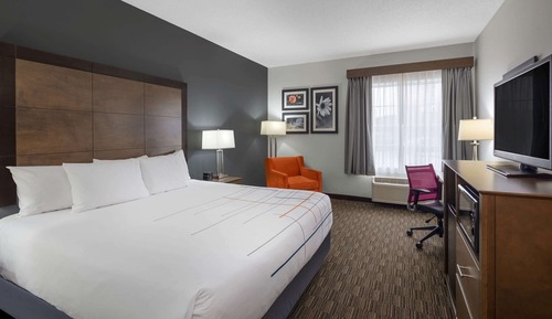 Room, 1 King Bed, Non Smoking