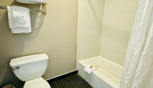 Deluxe Suite, 1 King Bed, Non Smoking, Refrigerator & Microwave