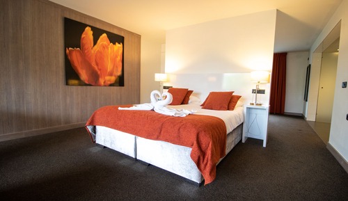 Suite (308)